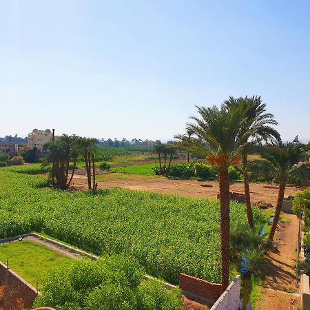 Farida Apartments Luxor Exterior photo
