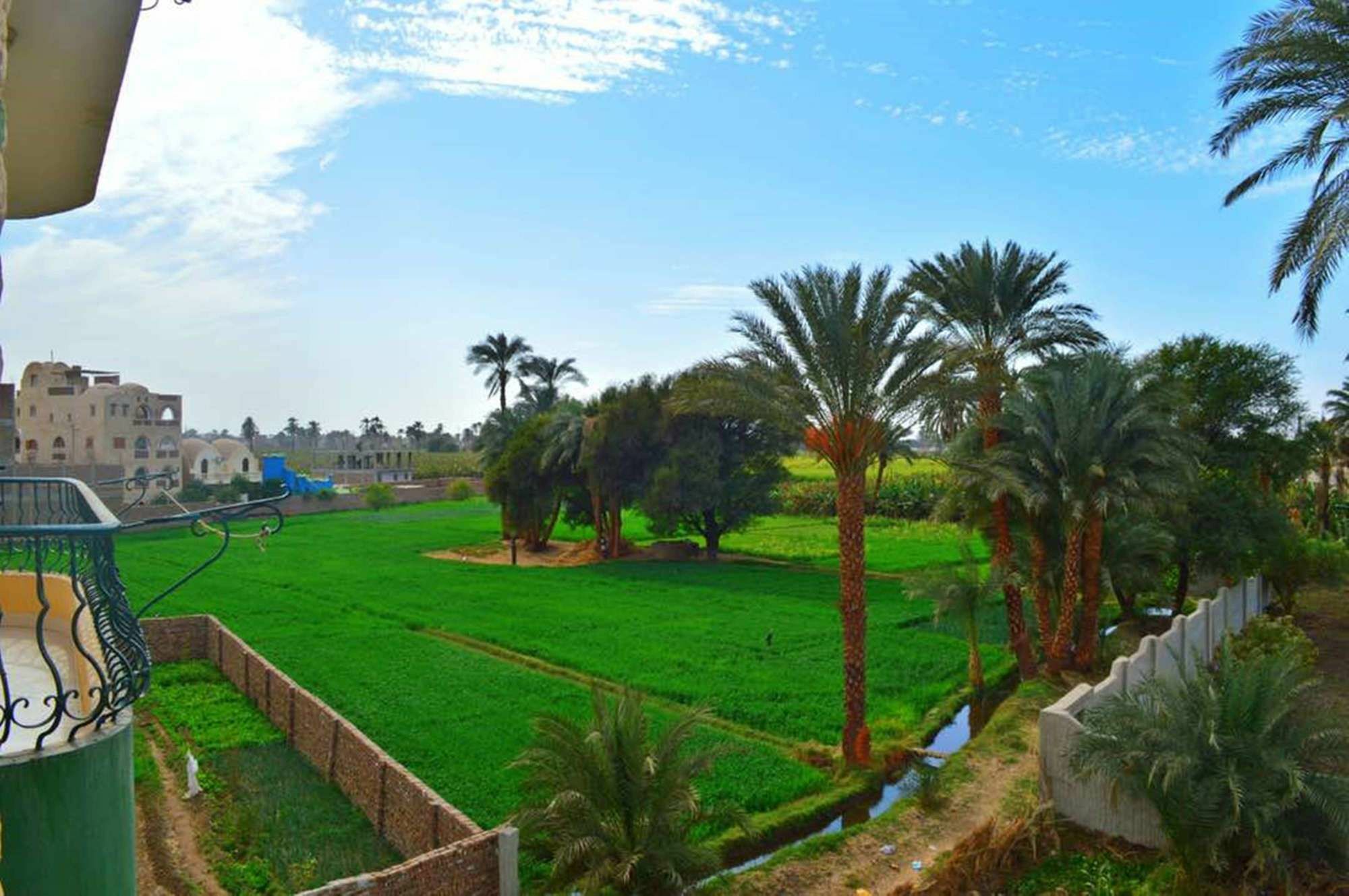 Farida Apartments Luxor Exterior photo