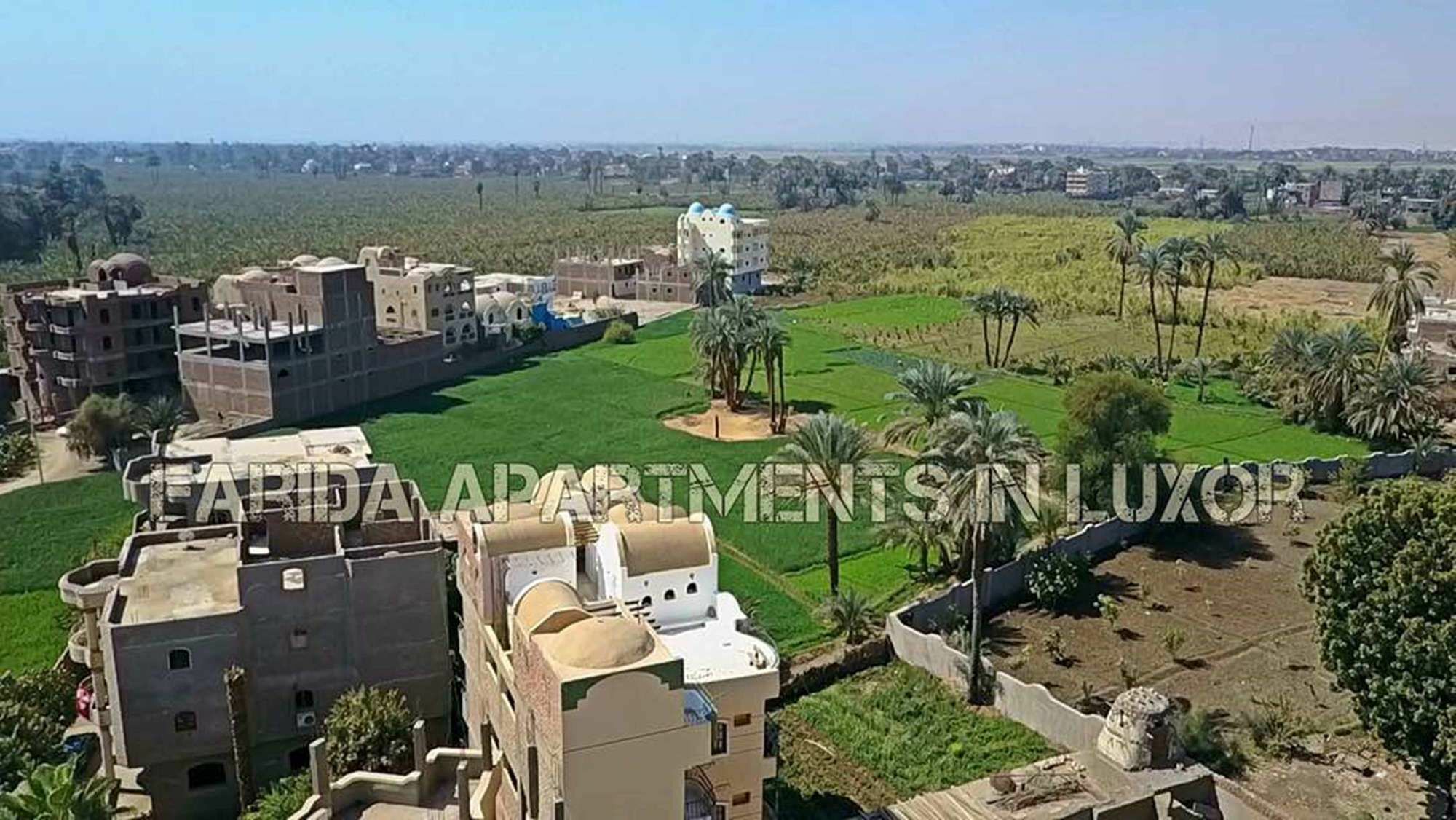 Farida Apartments Luxor Exterior photo