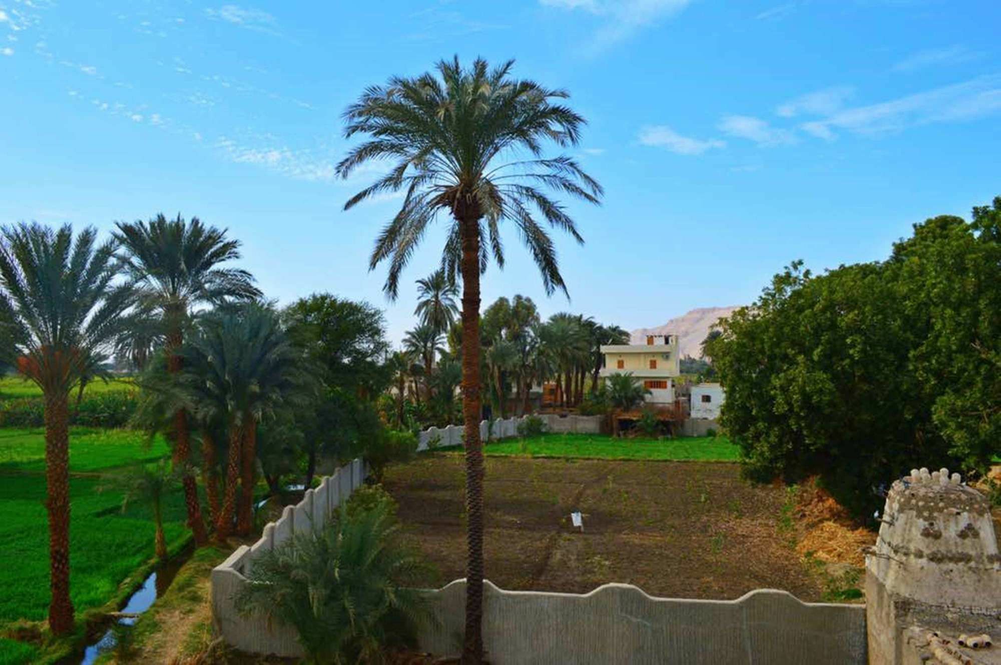 Farida Apartments Luxor Exterior photo
