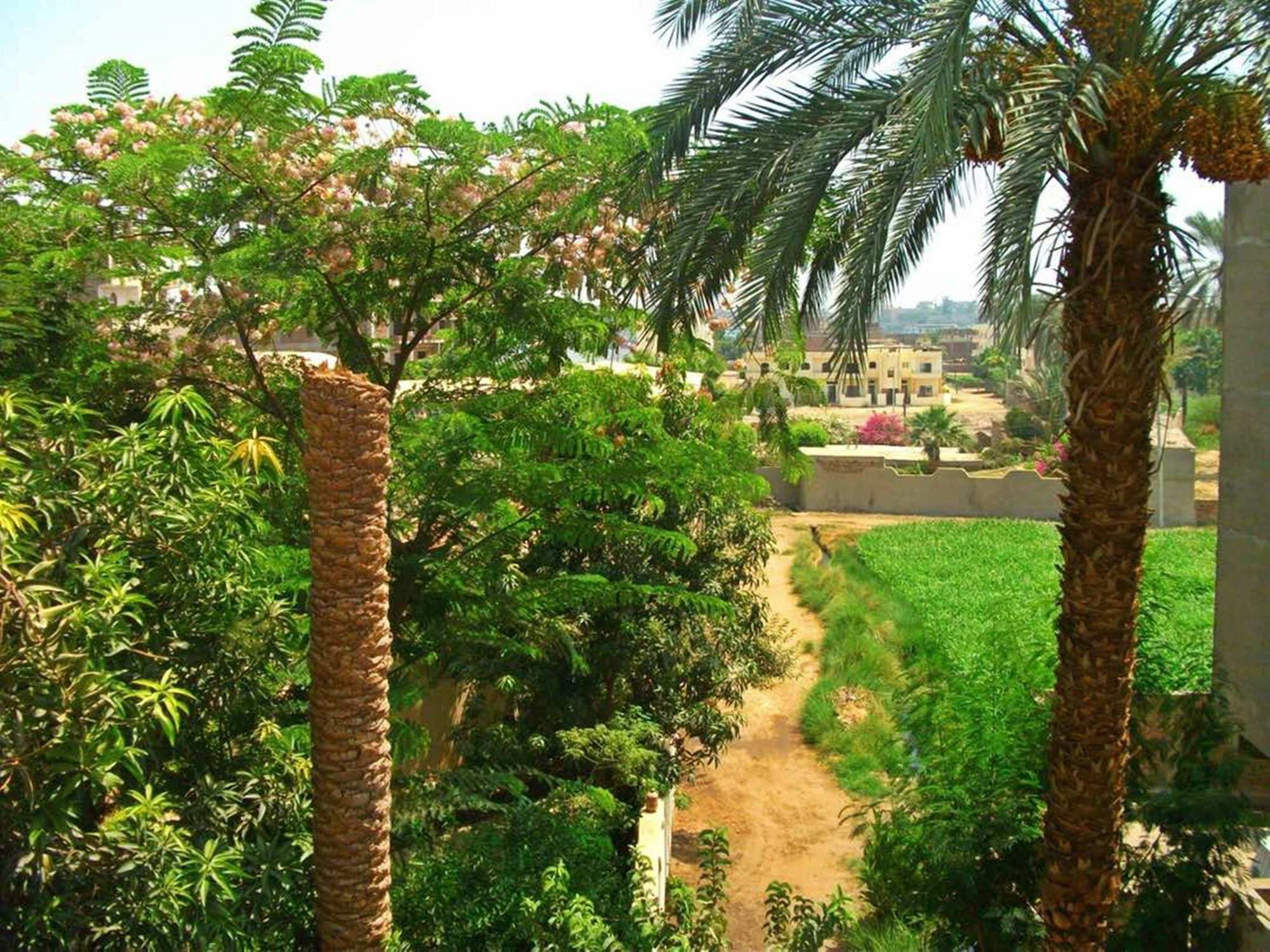 Farida Apartments Luxor Exterior photo
